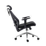 Truly Ergonomic Mesh Office Chair with Headrest & Lumbar Support Office Chair