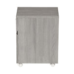 Rolling Two Drawer Vertical Filing Cabinet with Lock and Storage File Cabinet