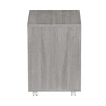 Rolling Two Drawer Vertical Filing Cabinet with Lock and Storage File Cabinet