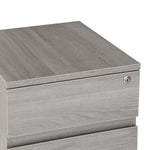 Rolling Two Drawer Vertical Filing Cabinet with Lock and Storage File Cabinet
